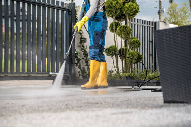 Best Fence Cleaning  in Winter Gardens, CA